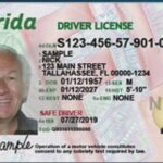 Driver's License Offices in Orlando Florida