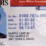 Which states allow you to renew your driver's license online?